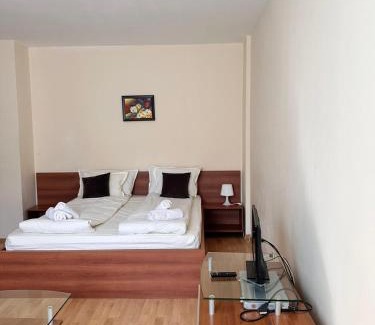 Borovets Apartment | Spacious studio sleeps 4 in Flora main building 706A