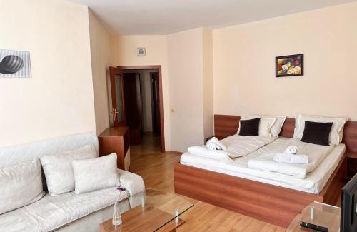Borovets Apartment | Spacious studio sleeps 4 in Flora main building 706A