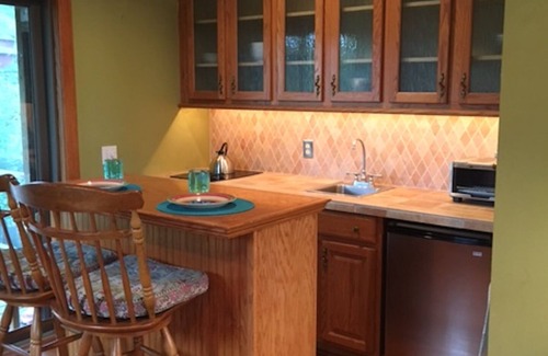 Trumansburg House | Spacious townhouse with hot tub!
