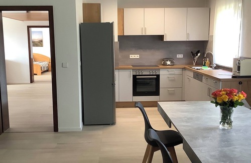 Hilzingen Apartment | Spacious vacation apartment with balcony, fireplace & garden - near Lake Constance & Rhine Falls