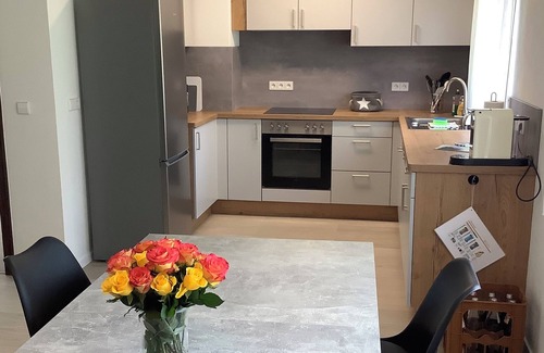 Hilzingen Apartment | Spacious vacation apartment with balcony, fireplace & garden - near Lake Constance & Rhine Falls