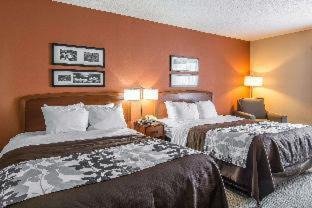 Fredericksburg Hotel | Spark By Hilton Fredericksburg Southpoint