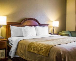 Guilford Hotel | Spark by Hilton Guilford