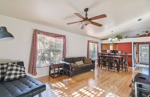 Town 'n' Country House | Sparkling Clean Tampa TreeHouse