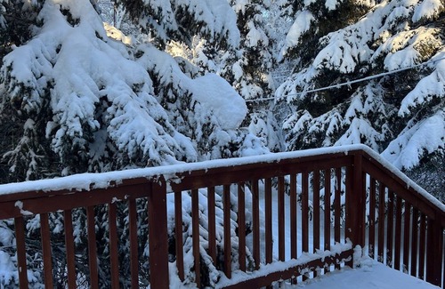 Turnagain Apartment | *Special~Bear Haus 2⁓Airport/Lake/Newly Renovated