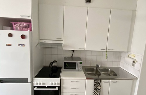 Herttoniemi Apartment | Specious roofapartment apartment, tropical velvet