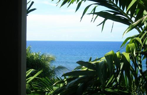 Naranja House | Speedway Blvd Townhouse