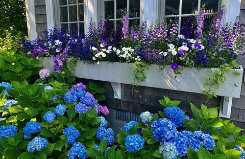 Siasconset House | Spindrift: 4 BR/4 BA home with central AC. One-bed cottage also available.