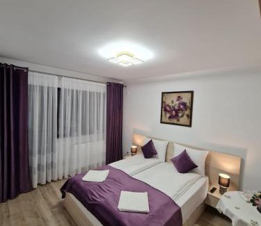 Fagaras House | Splendid House