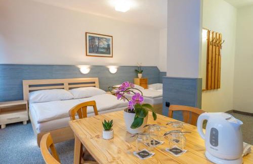 Karlovy Vary Hotel | Sport Hotel Gejzirpark