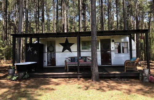 Reed Creek Cabin | Spotted Fawn Farm/Vintage “Don” restored 1951 airstream/Richardson tiny house