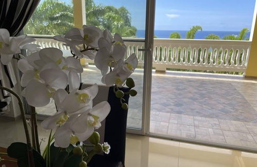 Reading Apartment | Spring Garden Mobay Resort