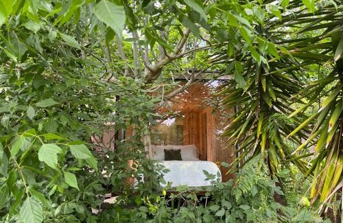 Valongo Villa | Springfield Lodge