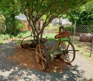 Springfontein House | Springfontein Guesthouse