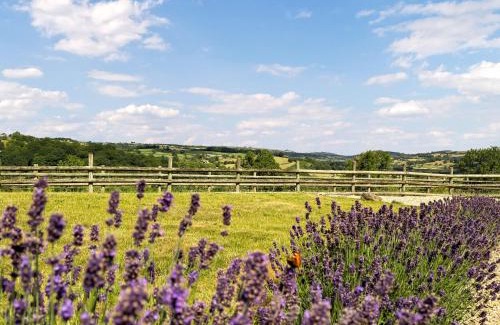 Hulland Ward House | Springhill Lodge
