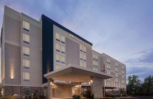 Carlstadt Hotel | SpringHill Suites by Marriott East Rutherford Meadowlands Carlstadt
