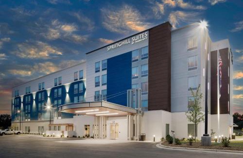 Charlotte Hotel | SpringHill Suites by Marriott Charlotte Airport Lake Pointe