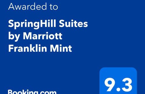 Franklin Hotel | SpringHill Suites by Marriott Franklin Mint