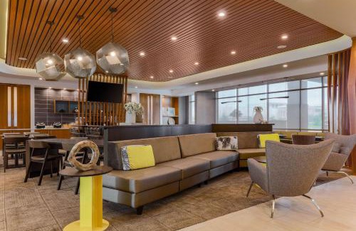 Fremont Hotel | SpringHill Suites by Marriott San Jose Fremont