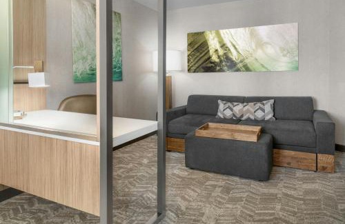 Holland Hotel | SpringHill Suites by Marriott Holland