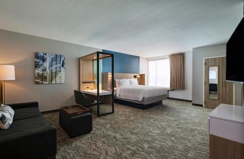 Far North Dallas Hotel | SpringHill Suites by Marriott Dallas Richardson/University Area