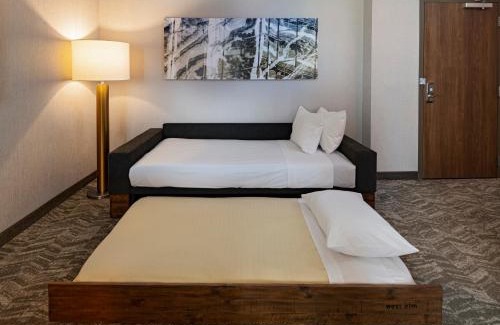 Far North Dallas Hotel | SpringHill Suites by Marriott Dallas Richardson/University Area
