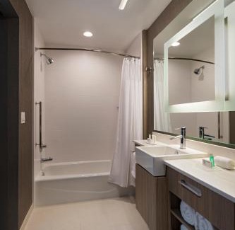 Far North Dallas Hotel | SpringHill Suites by Marriott Dallas Richardson/University Area