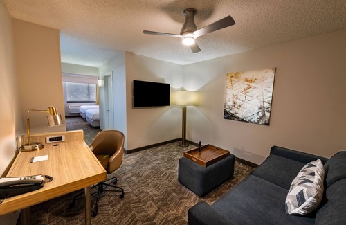 Astrodome Hotel | SpringHill Suites Houston Medical Center/NRG Park