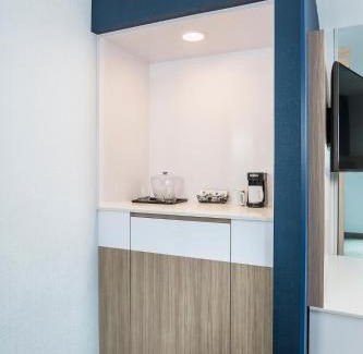 Downtown St. Paul Hotel | SpringHill Suites St. Paul Downtown
