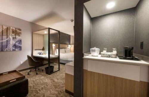 Downtown Colorado Springs Hotel | SpringHill Suites by Marriott Colorado Springs Downtown