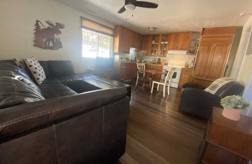 Lake City Cabin | Spruce Lodge - Newly Remodeled - Great Downtown Location!
