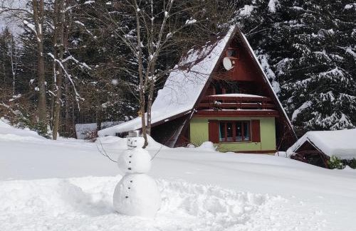 Krpacovo Ski Chalet | Squirrel cottage