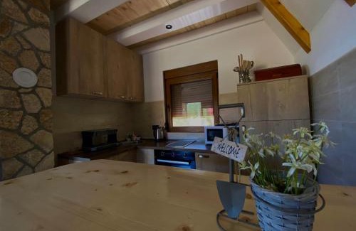 Njegovuđa Villa | Srce Zminice