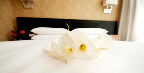 Xihu Hotel | SSAW Boutique Hotel Nanchang Bayi Square