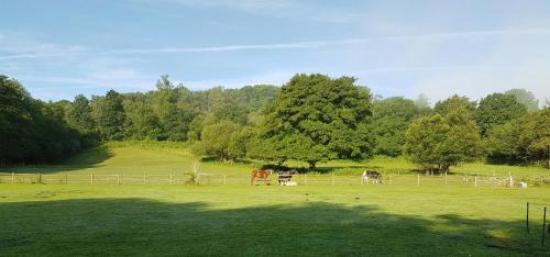 Dorking House | Stable Cottage