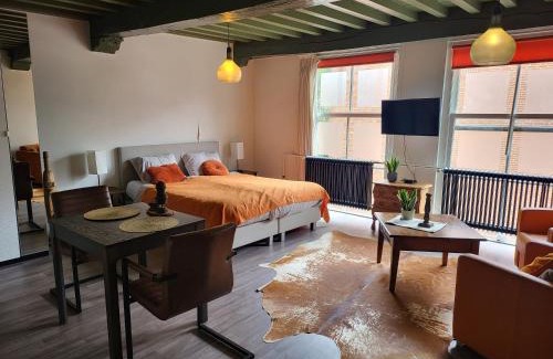 Zwolle City Centre Apartment | Stadslogement Bij de Sassenpoort