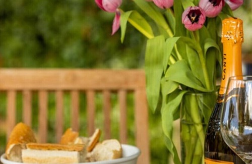Stamford RV Rental | Stamford Meadows Glamping - Walnut Yurt Site with Hot Tub