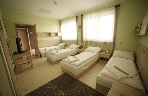 Dabrowa Gornicza Bed & Breakfast | Standard Delegacyjny Bed & Breakfast