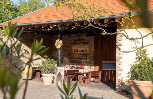 Bad Sobernheim House | Standard - double room - Weinhotel Johann Tullius