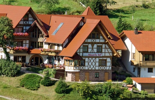 Seebach Apartment | Standard double room with shower and toilet