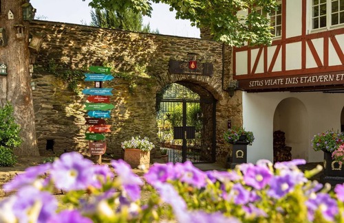 Sankt Goar House | Standard room - Hotel Schloss Rheinfels
