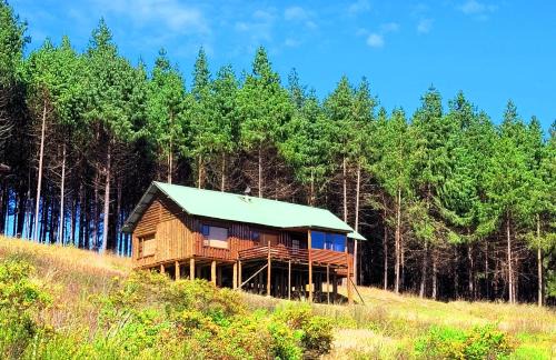 Haenertsburg House | Stanford Lake lodge