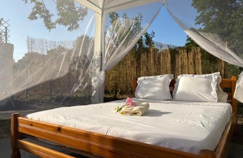 Agios Vasileios Other | Star Sleep Koxare Rethymno