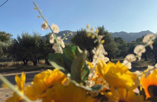 Agios Vasileios Other | Star Sleep Koxare Rethymno