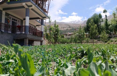 Nako House | stargazing homestay Nako