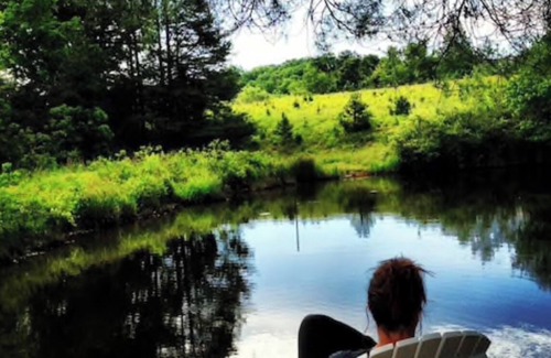 Ridge House | Stay on Working Farm in Central VA Wine Region, 35 Minutes from UVA.
