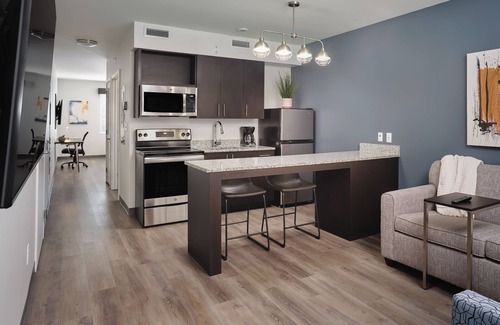 Webster Apartment | stayAPT Suites Houston NASA Clear Lake