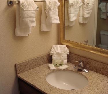 Plainfield Hotel | Staybridge Suites Indianapolis-Airport by IHG