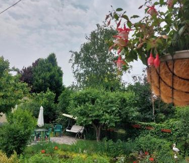 Tirgu Neamt House | Steaua Nordului