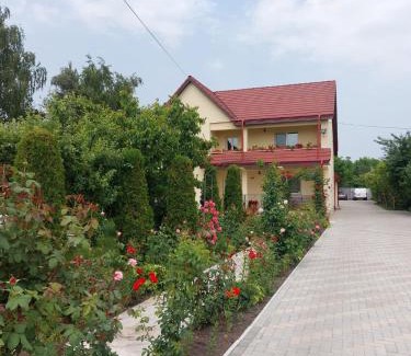 Tirgu Neamt House | Steaua Nordului